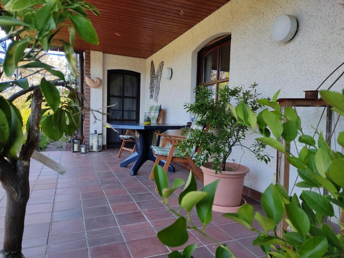 Ferienwohnung Bastian Thalmassing  Kültér fotó